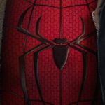Homem-Aranha Um Novo Dia